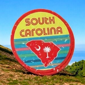 South Carolina Matte Finish PVC Removable Waterproof Decor Accent St…